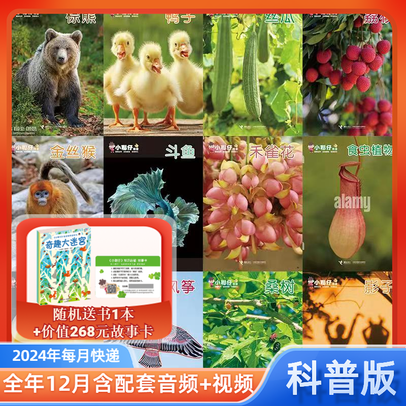 【单本任选】2025/24/23年小聪仔科普版婴儿版幼儿版全辑小聪仔 2-8岁宝宝期刊杂志启蒙认知早教亲子共读科普百科接力出版社