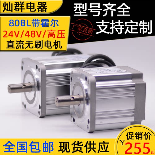 80大功率低压/高压直流无刷电机