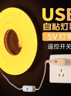 卧室床头氛围灯带遥控开关USB灯带条化妆镜补光自粘软灯条低压5V