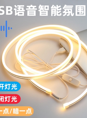 USB灯带氛围自粘5V低压电池盒霓虹硅胶灯光电竞氛围自粘软led灯带