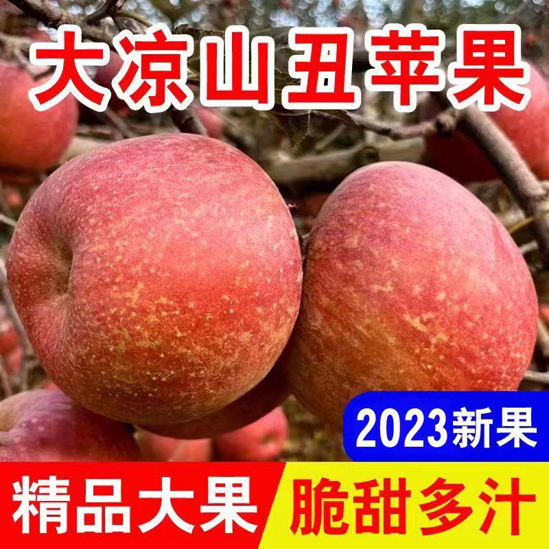 2023大凉山盐源冰糖心丑苹果当季新鲜孕妇水果10斤整箱脆甜红富士