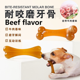 Non Bef Dog Small Large for Bone Toys Toxic Beef Dogs Flavor