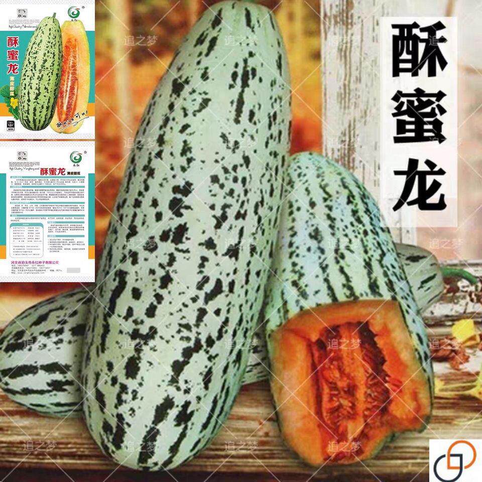 高产酥蜜龙甜瓜种子 甜早熟花皮牛角酥甜瓜种籽 特大水果种孑超甜