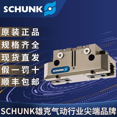 PGN-plus125-1-AS-V39371403