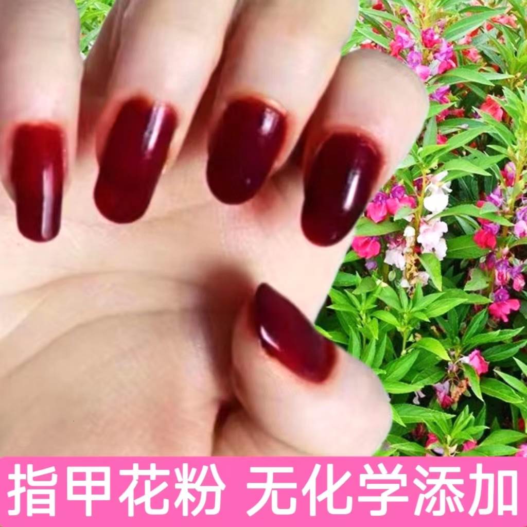 天然凤仙花染指甲粉送工