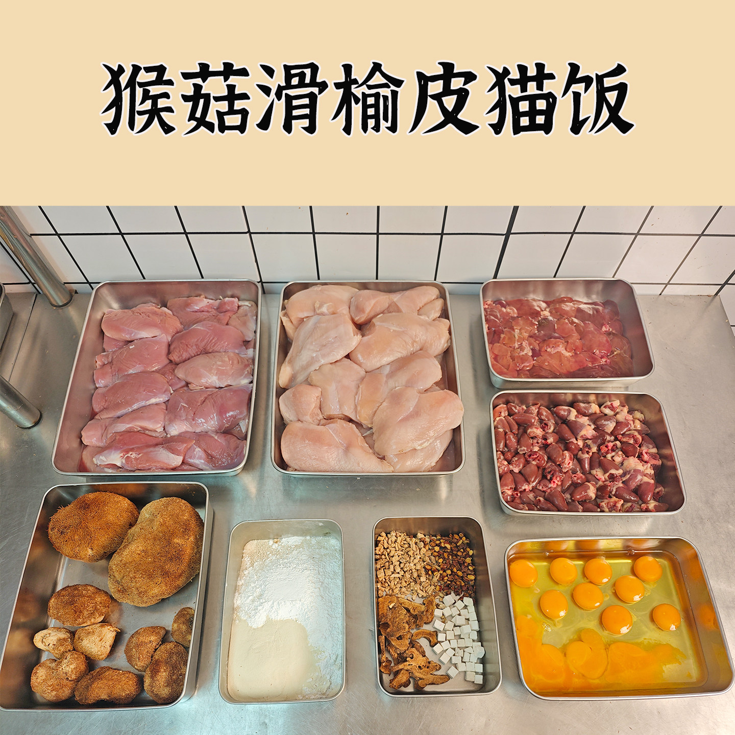 丽塔的汪喵记猴菇滑榆皮猫饭易