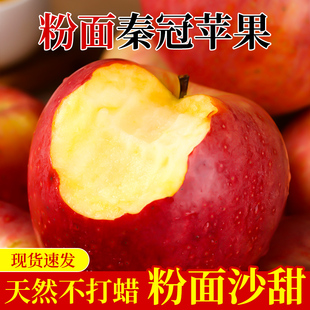 正宗当季现摘粉面秦冠苹果冰糖心宝宝老人刮泥红富士新鲜水果整箱