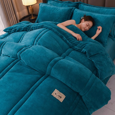 冬季保暖加厚10斤牛奶绒冬被四件