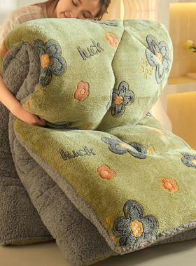 冬季10斤毛绒被子羊羔绒冬被双面雪花绒牛奶绒保暖加厚铺盖棉被芯