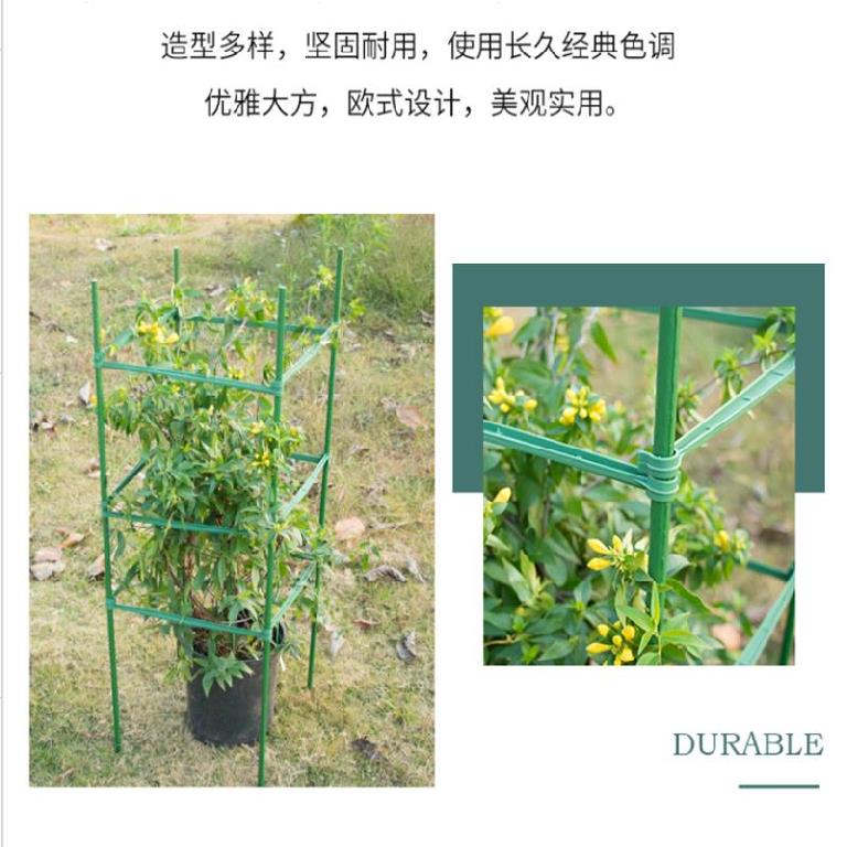 西红柿爬藤架花支架直杆豆角植物架小番茄楼顶爬架简易支撑杆家用
