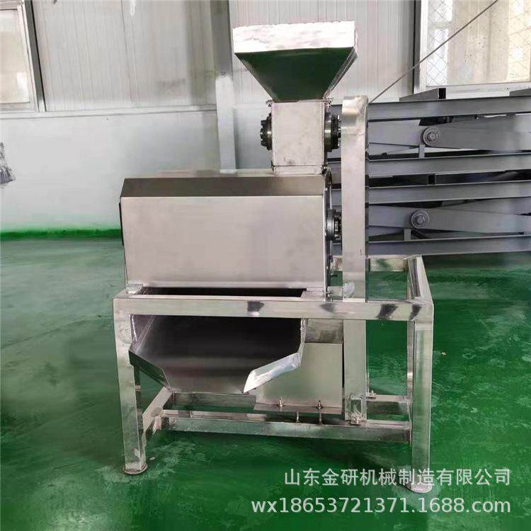 李子黄皮果去核打浆机黄桃西梅打浆脱核机青梅枇杷榴莲打浆设备