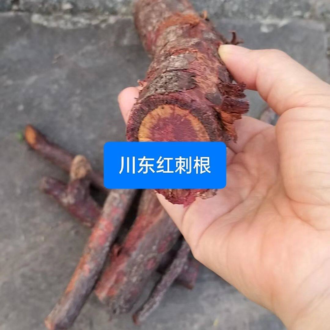 新鲜天然红刺藤根 红根 圆叶刺根 倒钩刺 山香木红根500g起包邮