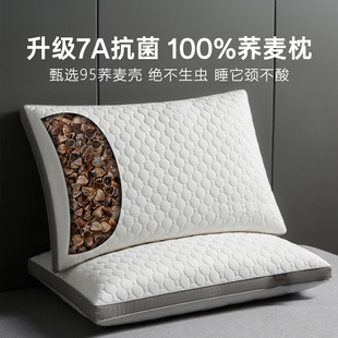 高质量睡眠纯荞麦枕头枕芯家用一对装成人48cmx74cm整头枕头芯男