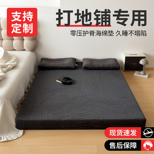 打地铺专用床垫家用卧室软垫榻榻米垫褥学生宿舍单人