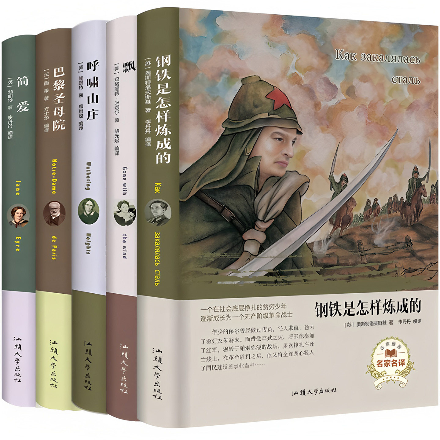 真书摆件现代简约风格书柜书房装饰品领导办公室书架书道具摆设