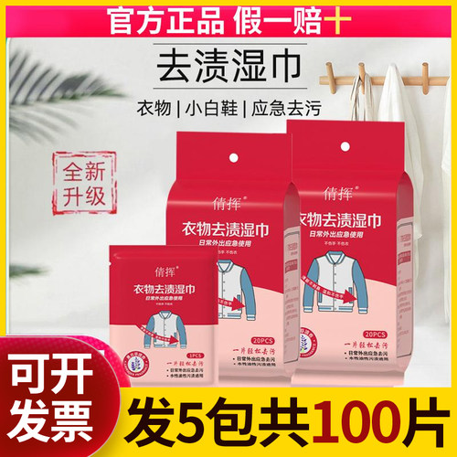 倩挥羽绒服清洁去渍湿巾