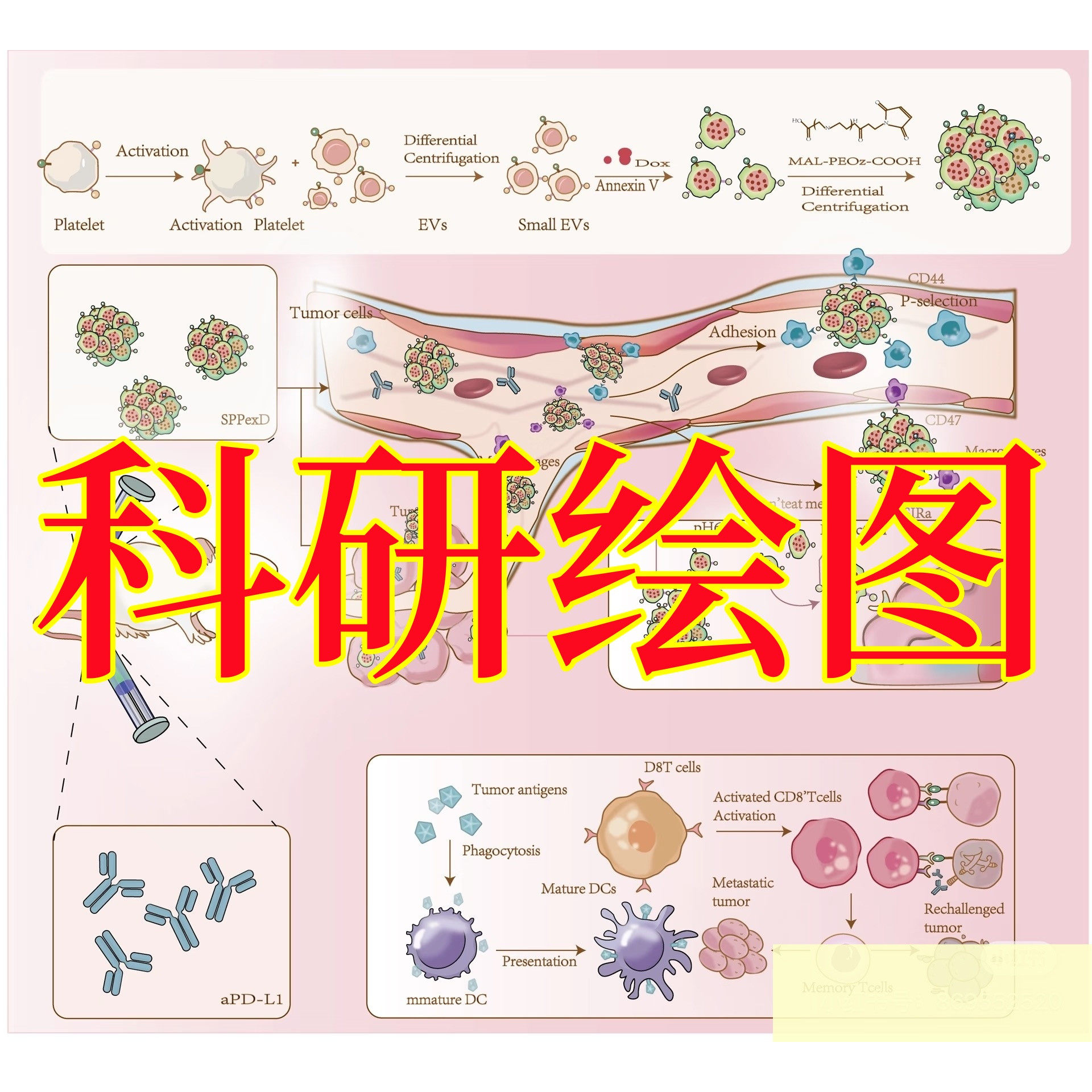 科研绘图生物医学图表2D/3D插画定制化专业绘图服务代画设计