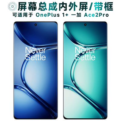 盾令屏幕总成适用于一加ace2pro