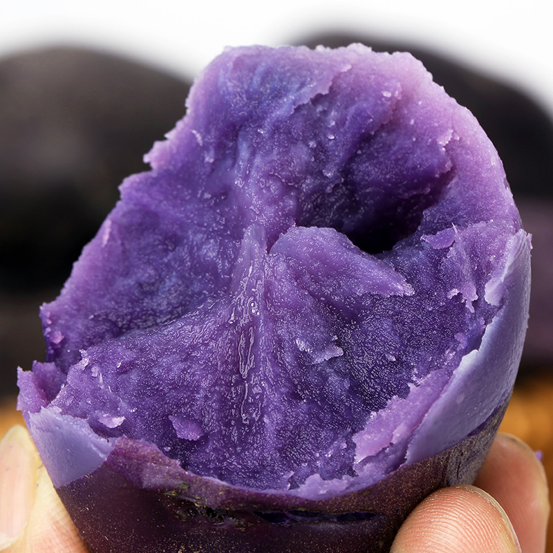 Black Edition fresh Black Potatoes Potato Farm violet Potato Potato Black Beauty 5in the Aquatic meat/Fresh fruits and vegetables/Cooked , Fresh vegetables/Vegetable products , Fresh vegetables , Potato  category - from Buy2taobao.com to provide professional Taobao agent buy service