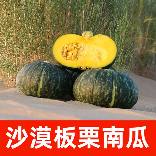 甘肃沙漠板栗南瓜5斤新鲜当季