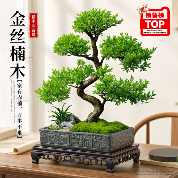 金丝楠木赤楠盆景客厅桌面绿植物