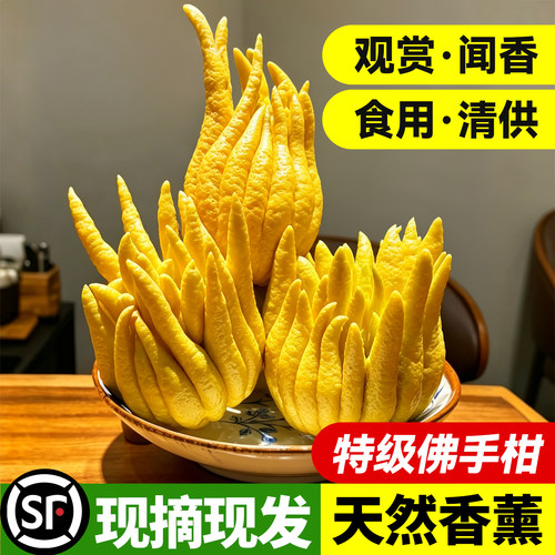 【现摘大果佛手柑】云南鲜果香橼