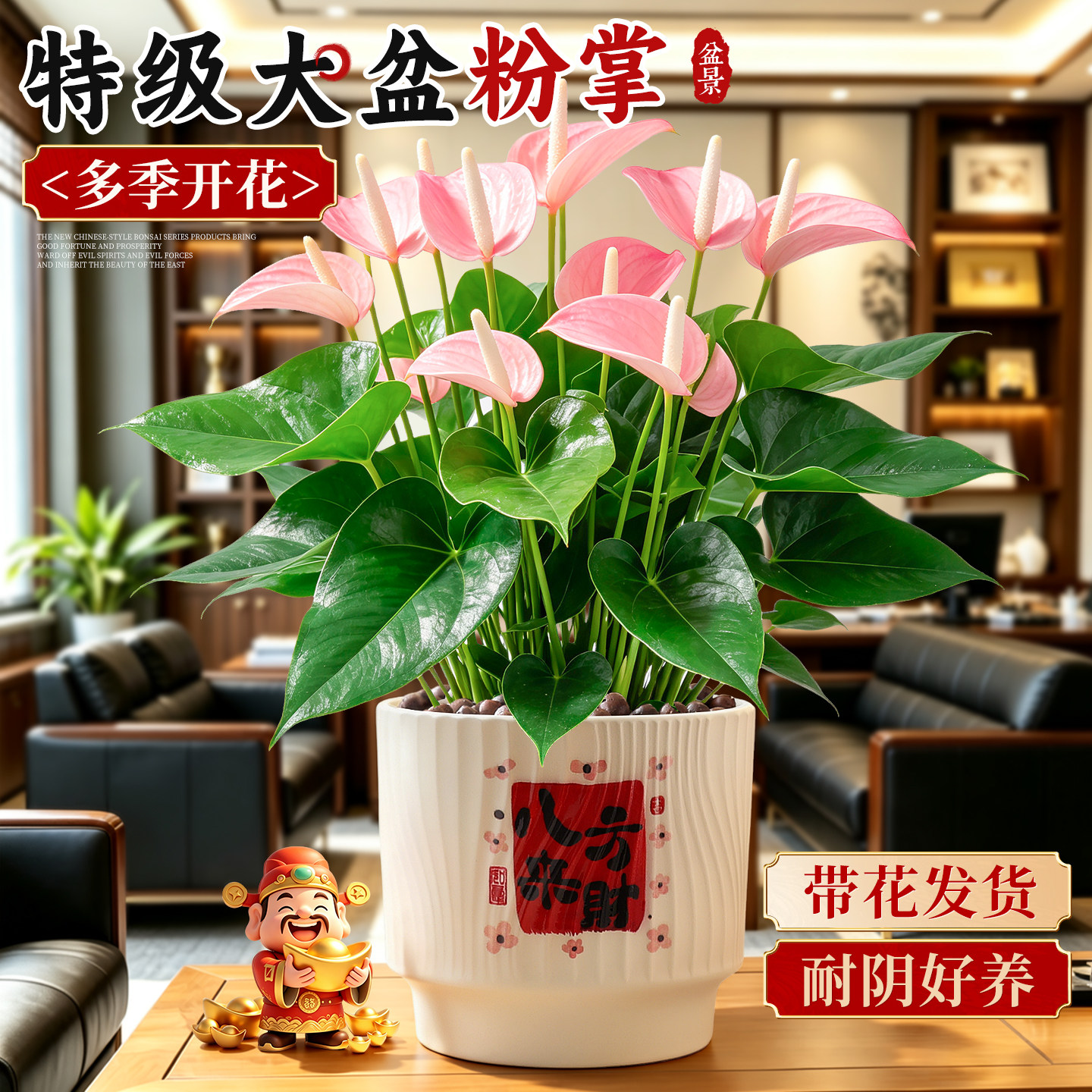 大盆特级带花粉掌盆栽客厅室内桌面绿植花卉四季耐阴好养红粉佳人