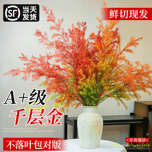 千层金鲜切水培植物云南基地直发年宵花鲜花卉绿植黄金香柳干花束