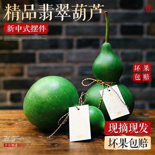【观赏葫芦】新鲜浓香佛手柑香橼
