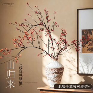 鲜切带果山归来花束侘寂风干花中古客厅装饰真花摆件干枝插花摆设