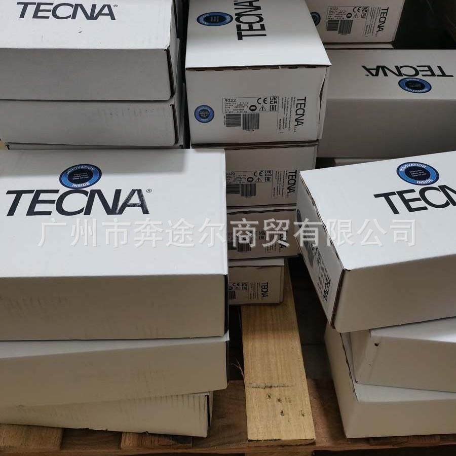 意大利TECNA原厂弹簧拉力平衡器 9336 2~4KG