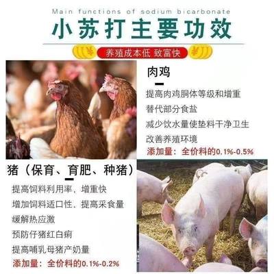 兽用小苏打粉碳酸氢钠猪牛羊鸡鸭用饲料添加剂小苏打100斤