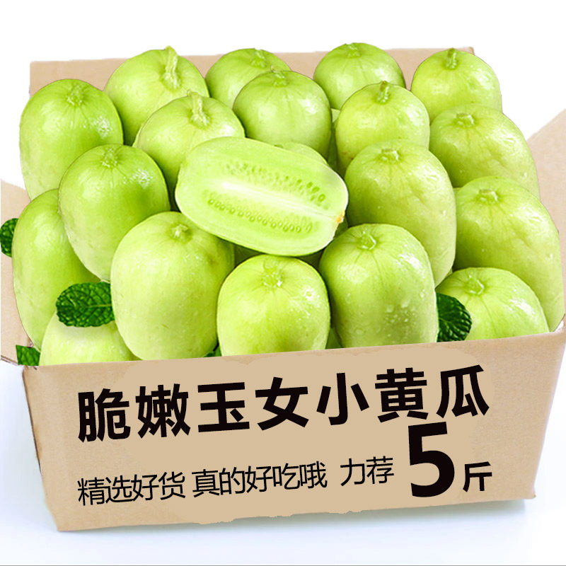 2026新鲜拇指黄瓜玉女黄瓜现摘头茬水果生吃山东蔬菜5斤整箱包邮
