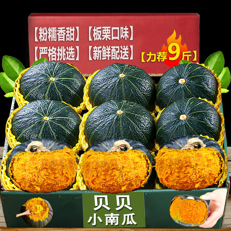 正宗贝贝南瓜板栗味5斤贝贝小南瓜新鲜果蔬老瓜粉糯甜农家10