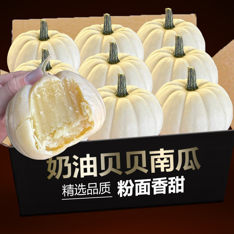 精选香妃奶油贝贝南瓜正宗新鲜现摘白雪迷你白南瓜宝宝辅食粉香甜