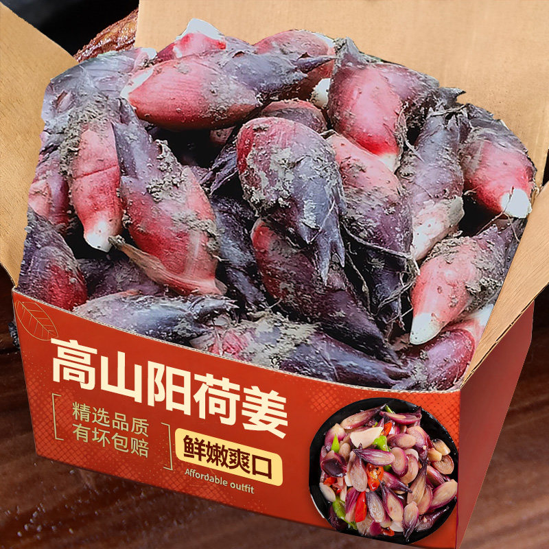 新上市贵州新鲜现摘阳荷姜当季