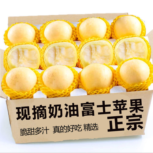山东烟台3斤黄金奶油富士苹果新鲜水果白色牛奶脆甜平果现摘现发