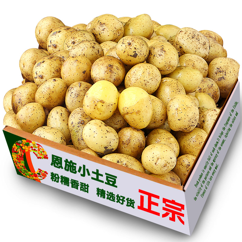 新鲜湖北小土豆迷你现挖黄心土豆洋芋农家自种蔬菜马铃薯现挖现发