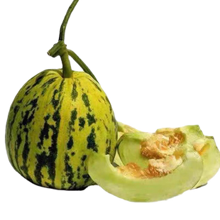 八里香花姑娘香瓜应季时令水果新鲜现摘脆甜蜜瓜花蕾甜瓜孕妇包邮