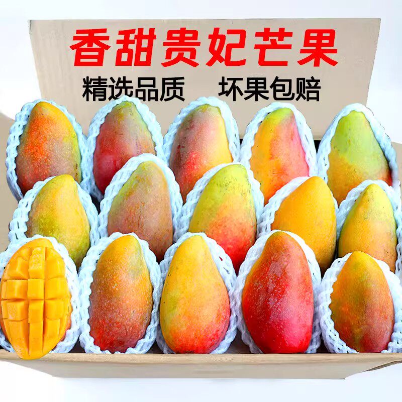 现摘贵妃芒超甜新鲜芒果水果当季树上熟红金玉青煌大辣椒台芒
