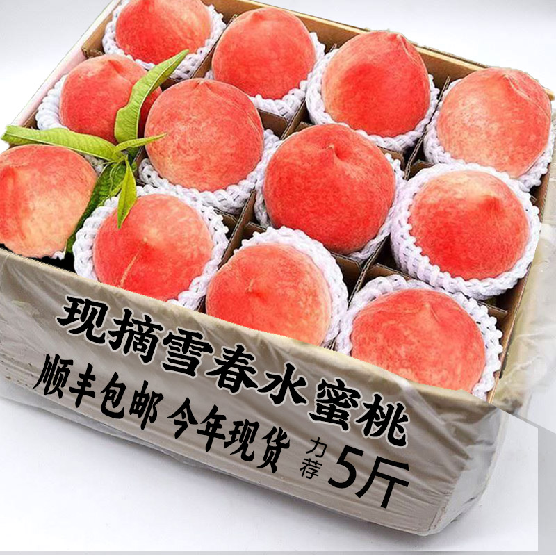 现货现摘水蜜桃新鲜水果5斤桃子整箱包邮春雪毛桃当季孕妇冬脆桃