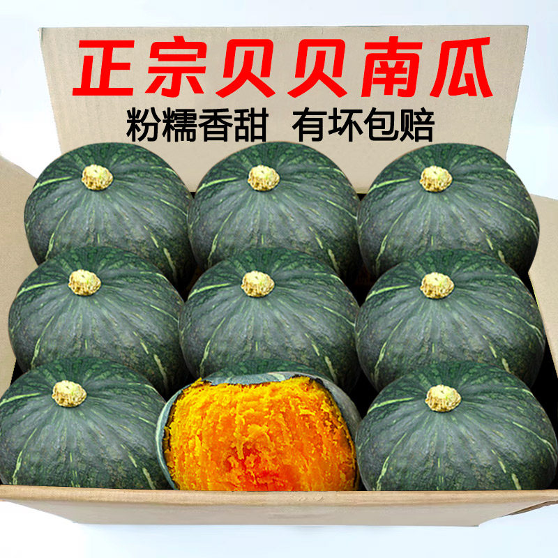 贝贝南瓜正宗板栗味当季小南瓜婴儿辅食农家自种新鲜粉糯老瓜包邮