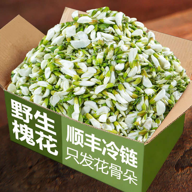 野生洋槐花顺丰包邮新鲜杨槐花可食用野菜现摘洋槐花花骨朵生花苞