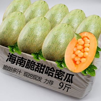 正宗海南哈密瓜脆甜新鲜现摘香甜脆蜜瓜当季新鲜冰淇淋网纹哈密瓜