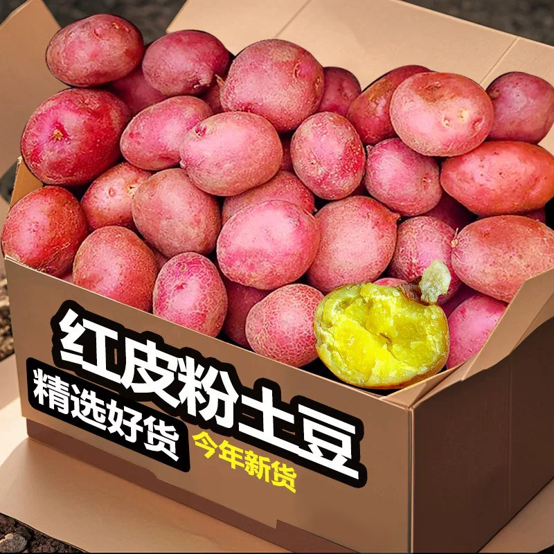 红皮土豆27颗,粉糯香甜!