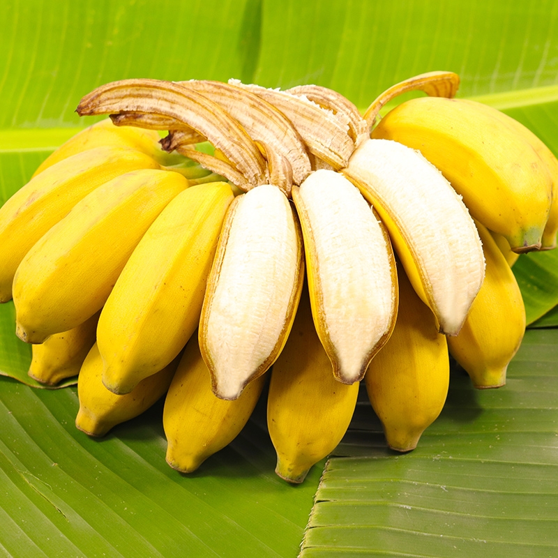 2024现摘广西小米蕉当季新鲜水果整箱自然熟banana苹果蕉香蕉粉蕉-封面