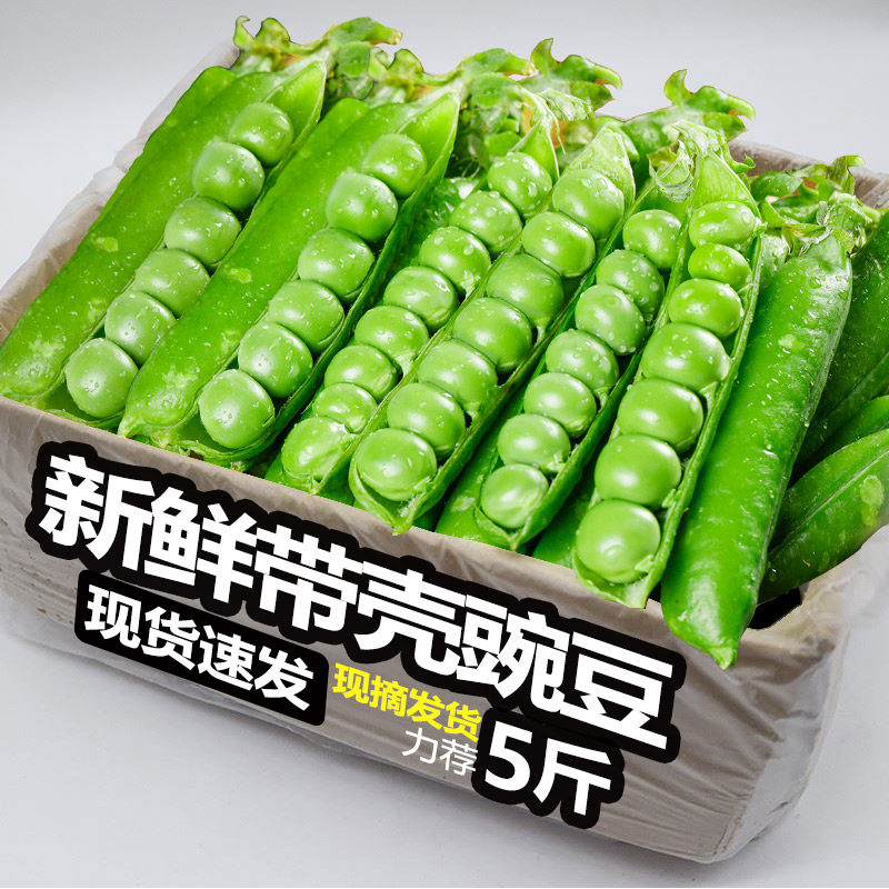 豌豆新鲜现摘云南带壳青豆角粒农家蔬菜水果甜豆荚嫩当季整箱包邮