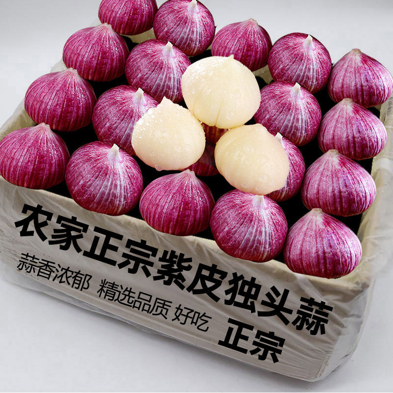 独头蒜1斤大果,蒜香浓郁好吃!