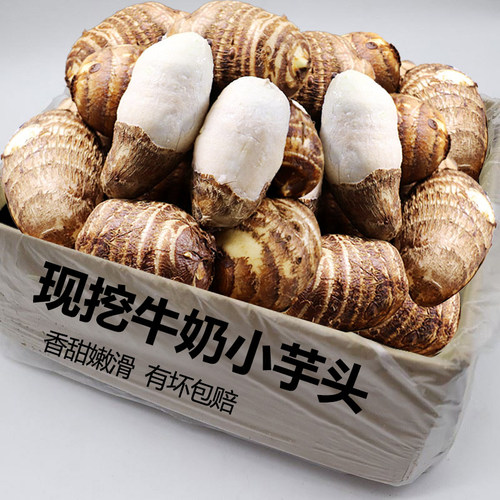 牛奶芋头新鲜芋艿香甜软糯毛芋头小芋头香芋农家整箱包邮