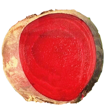 新鲜甜菜根现挖甜菜头5斤